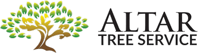 Networks Member's Logo